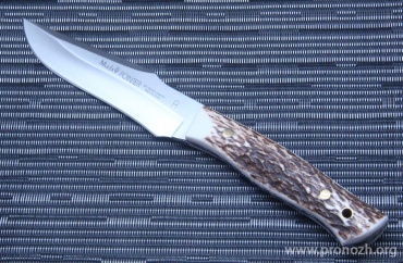  Muela Pointer-12AE, Stag Handle