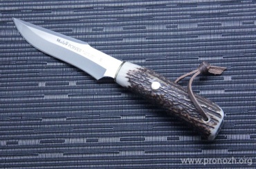   Muela Pointer-13A, Stag Handle