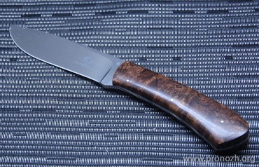 Фиксированный нож ARNO BERNARD Buffalo Desert Ironwood