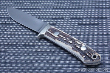   Hiro Knives  Hunter 8, Mirror Polished Blade, Stag Handle